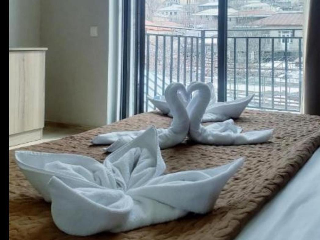 Hotel Sweet Night Kazbegi Luaran gambar